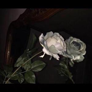 翔田千里无码视频
