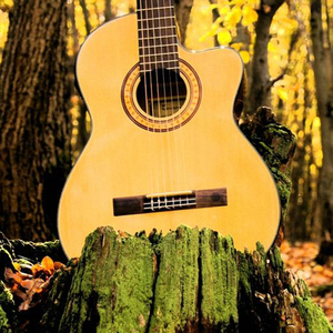 翔田千里无码视频
